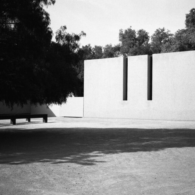 entrance-tree-and-the-cut-wall