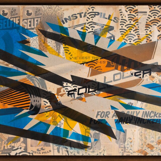 01_Follower62x85