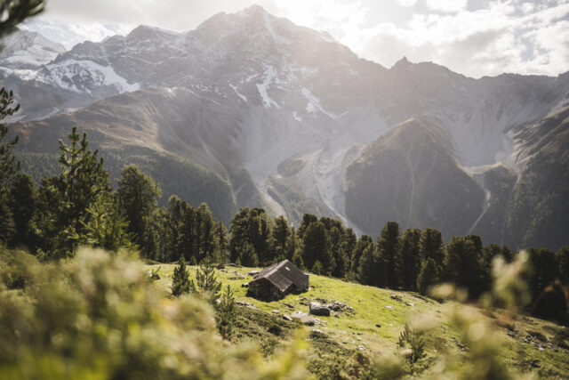 Nationalpark Stilfserjoch | Parco Nazionale dello Stelvio | Stelvio National parc