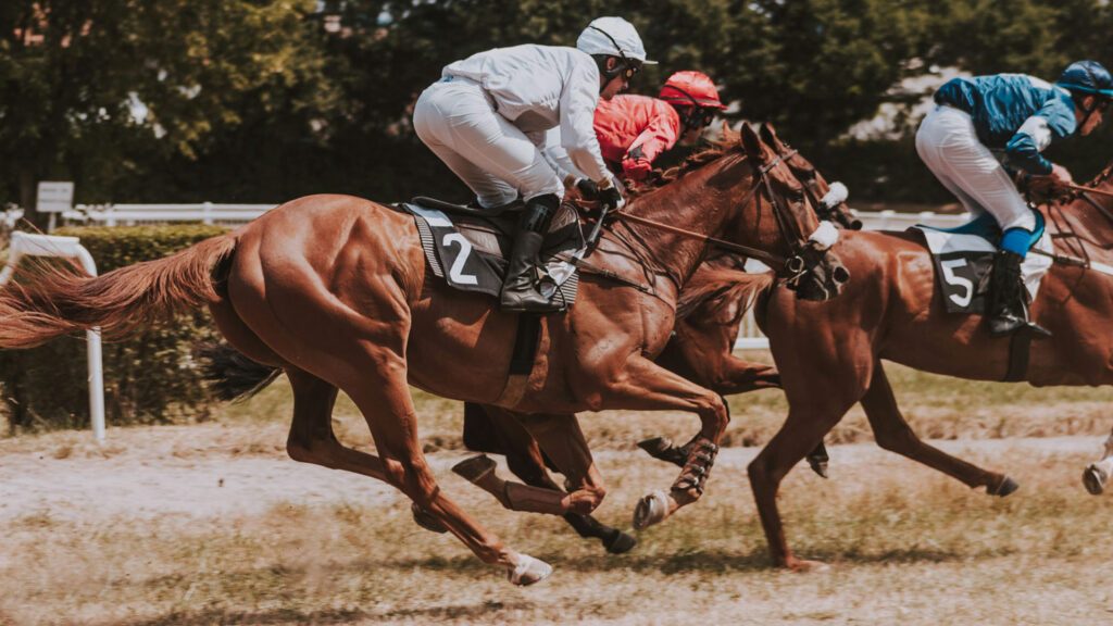 Aurora-Cup-Gran-Premio